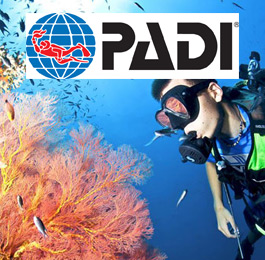 PADI